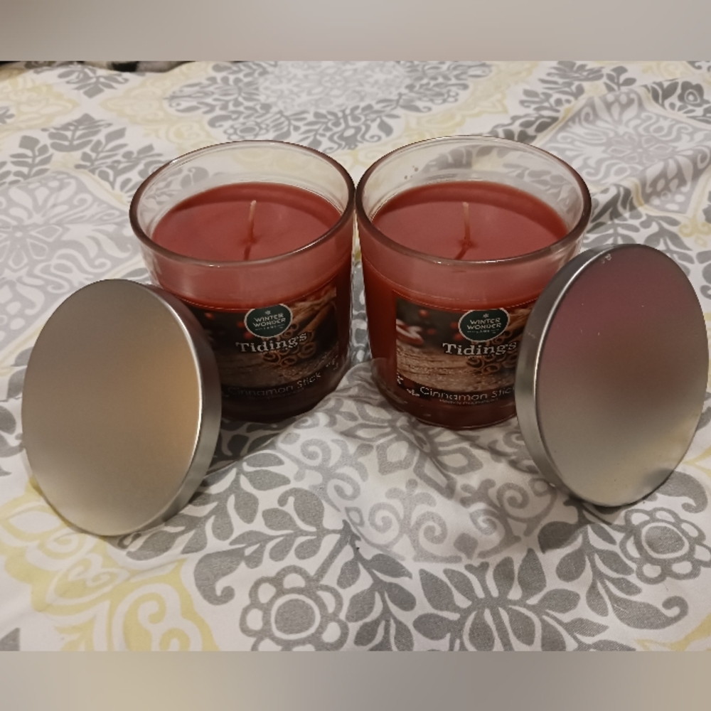 NWT! WINTER WONDER TIDINGS (CINNAMON STICK)